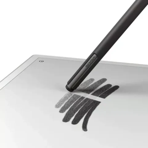 but-marker-plus-2-1741593790